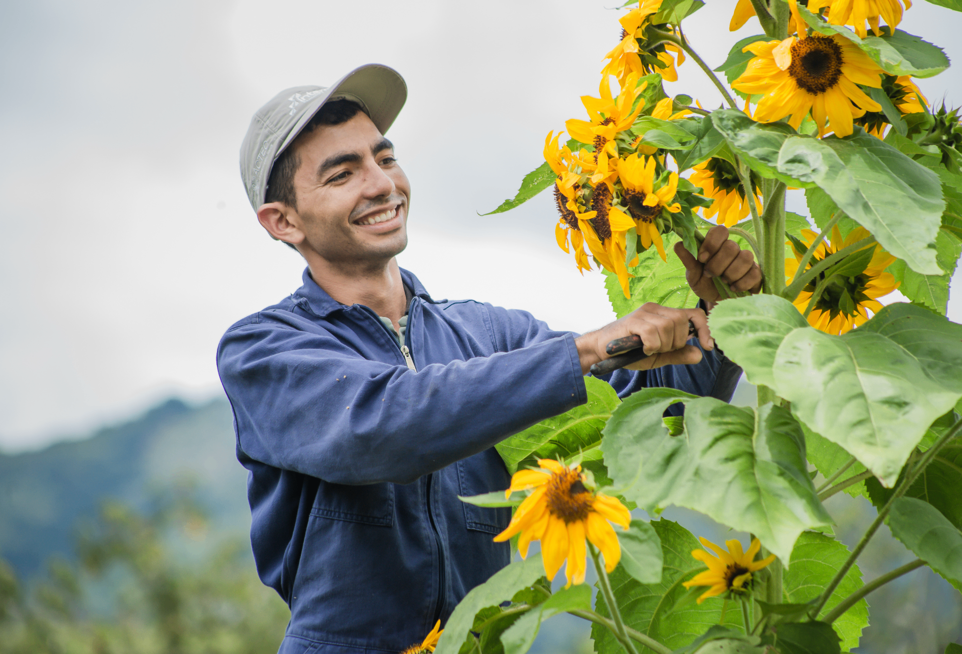 Emprendedor sonriendo entre girasoles — Foro Connect 2026